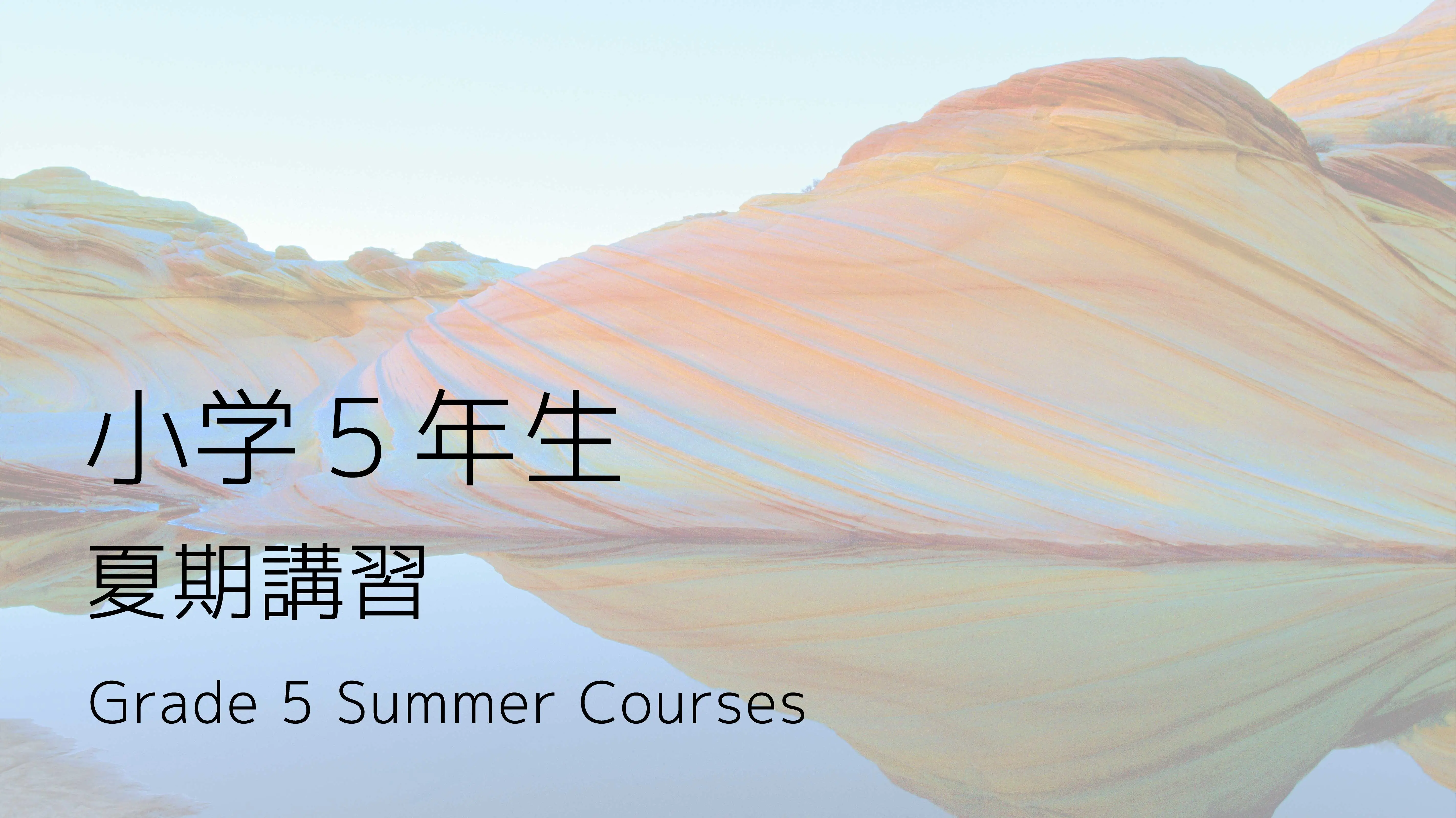 小学５年生 夏期講習